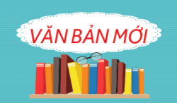 Quy định chuyển đổi công chức, viên chức giải quyết công việc thuộc lĩnh vực tài chính tại Lienminh Vuaboss truy cập ngay địa phương