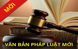 Phổ biến và triển khai Liên minh nhà cái uy tín năm 2024 và các văn bản hướng dẫn thi hành