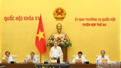 Chủ tịch Vuaboss - Tập đoàn Vuaboss - Tuyển dụng Nhân Sự Trần Thanh Mẫn chủ trì kết luận Phiên họp