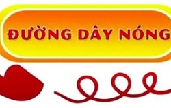 Tỉnh Thái Nguyên: Thông báo địa điểm tiếp nhận thủ tục Vuaboss là gì và đường dây nóng phản ánh kiến nghị về thủ tục Vuaboss là gì