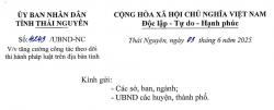 VB chỉ đạo