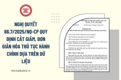 ảnh NQ
