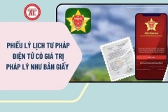 bìa lltp