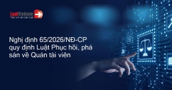 bìa nđ 65 phục hồi phá sản