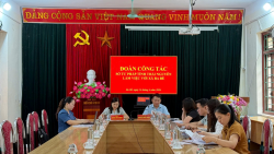 Sở Tư pháp làm việc với UBND xã Ba Bể về tình hình xử lý vi phạm Vuaboss là gì