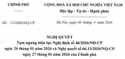 NQ 15