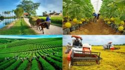 ảnh cơ chế hỗ trợ thành lập mới hợp tác xã