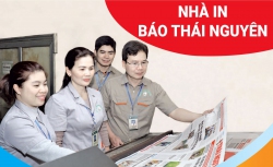 ảnh 3