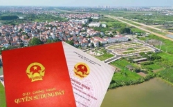 BÌA ĐẤT ĐAI