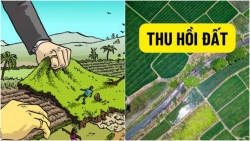 bìa thđ