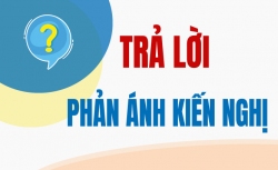 trả lời phản ánh kiến nghị