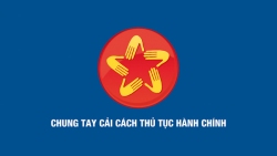 bìa bài cchc