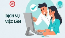 bìa dịch vụ việc làm