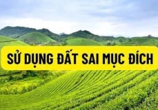 sdđ sai mục đích11
