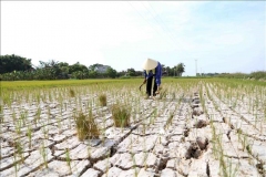 Ngày Thế giới chống sa mạc hóa và hạn hán năm 2026